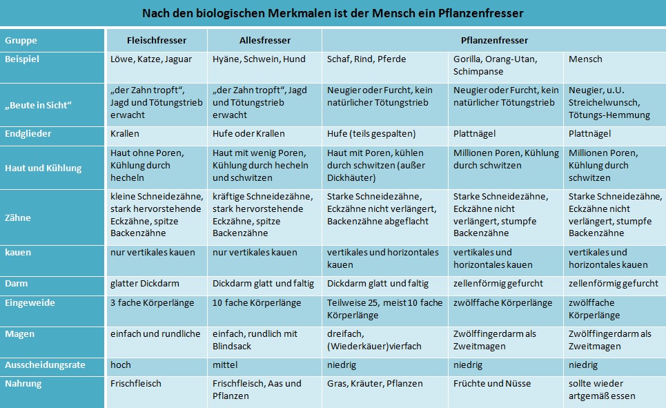 Pflanzenfresser-Tabelle-verdrehte-Welt.info